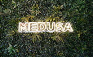 medusa logo background